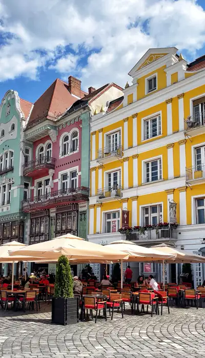 Novi Sad, Temišvar i Beograd