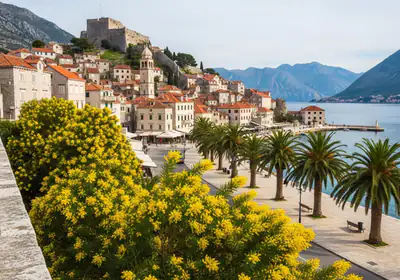 Praznik Mimoze – Herceg Novi, Budva i Kotor